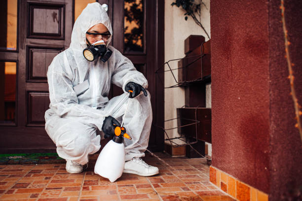 Multi-Unit and Airbnb Bed Bug Protocol in Potomac Heights