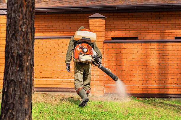 Bed Bug Clearance Verification and Documentation in Potomac Heights